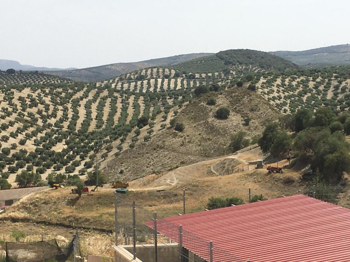 Apartamento Turistico Mirador De Sierra Magina Noalejo Entre Granada Y Jaen Eksteriør bilde